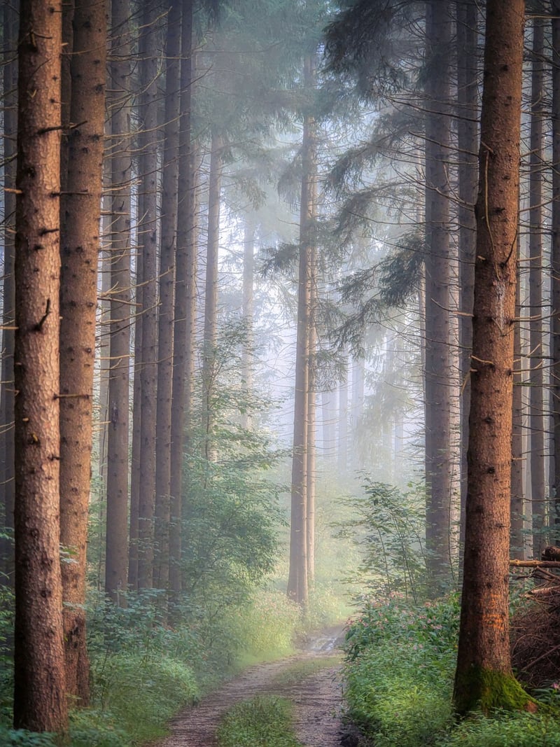 Mysterious trails